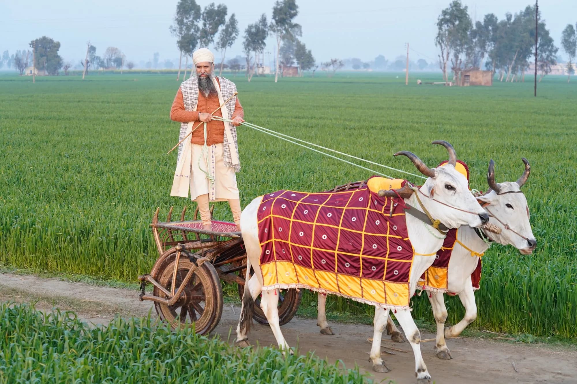 Pathankot